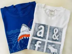 長袖Tシャツ14歳 (160cm) まとめ売り