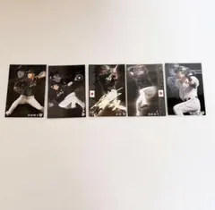 【大特価セール‼️】プロ野球カード　5枚セット