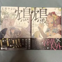 林十江 NHK出版 アートブック 林十江 NHK出版 アートブック - メルカリ