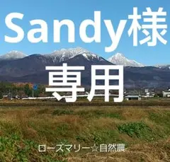 Sandy様 リクエスト 3点 まとめ商品