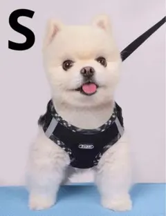 【新品未使用】夏用　メッシュ　ハーネス　リード　セット2点　小型犬　シンプル　黒