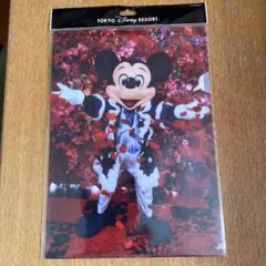 Item thumbnail for item aea3d97e-fbf6-4053-8d4d-3df0112ea05b