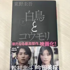 幻冬舎文庫 白鳥とコウモリ 下