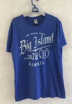 Item thumbnail for item b8030cad-9e47-489e-8b41-a4962d3018da