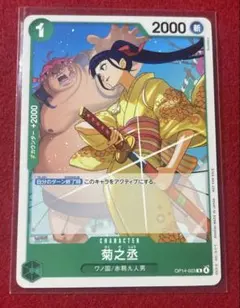 菊之丞　OP14-023 R