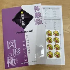 図形の極み　5級　☆未記入 解答付き 確認テスト＋テスト解答付き 2025年最新】図形の極みの人気アイテム - メルカリ