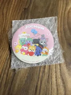 2026年最新】jochum ミラーの人気アイテム - メルカリ