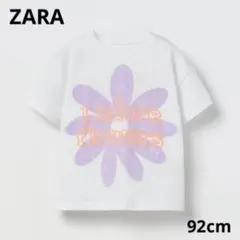 Item thumbnail for item 682c1533-c3c7-4e7b-8e08-47349c216a42