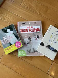 Item thumbnail for item 214bf7c9-e778-4ca8-8023-bedca8e4a861