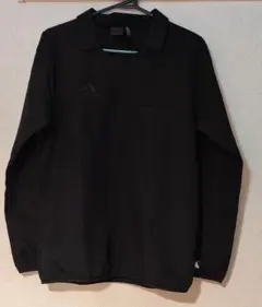 Item thumbnail for item d0d53519-96eb-499e-adea-5252b328040e