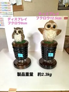 極3 小型猛禽パーチ、ファルコンブロック（透明ガラス） 2026年最新】猛禽類パーチの人気アイテム - メルカリ