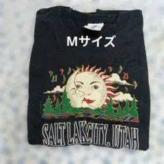 Item thumbnail for item 604bad70-b487-432b-941a-c3875c1d1109