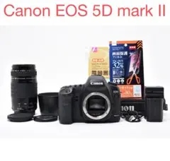 2026年最新】canon eos 5d mark ii レンズの人気アイテム - メルカリ