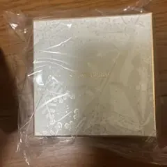 スノービューティー ブライトニング スキンケアパウダー 2026 25g