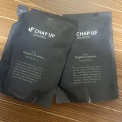 sakuyu様専用　CHAP UP シャンプー 300ml ×2 オーガニックのサムネイル