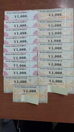 ビックカメラ コジマ 株主優待 19000円分