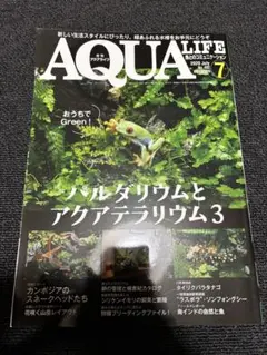 Item thumbnail for item 2ae73d97-1875-42ec-9126-a18cb988a959