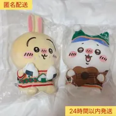 ちいかわ　エニマイくじ　B賞　C賞　ぬいぐるみ　ハチワレ　うさぎ　新品　正規品