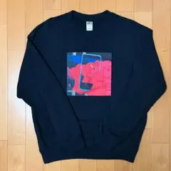 ユニクロ× KAWS+WARHOL コラボトレーナー