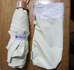 Item thumbnail for item baa7ee31-d011-4a98-b300-58b8fc7d5dd3