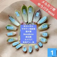 2026年最新】ザラゴーサ SP ノバの人気アイテム - メルカリ