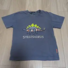 klädskåp ステゴザウルス 刺繍 Tシャツ 110cmのサムネイル