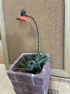 豆電球ガーデンピック2☆多肉植物☆サボテン☆リメ缶☆観葉植物