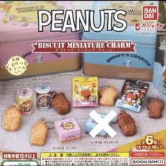 ☆スヌーピー　PEANUTS ビスケットミニチュアチャーム ５種セット