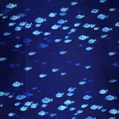 #XmasセールNo.163