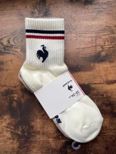 Item thumbnail for item a2ff94de-9956-428f-971d-e8b7248631b8