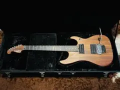 2026年最新】bill lawrence l-500の人気アイテム - メルカリ