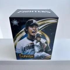 【123個限定完売品】ダルビッシュ選手優勝キャップボブルヘッド人形　パドレス 123個限定完売品】ダルビッシュ選手優勝キャップボブルヘッド
