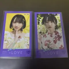 【匿名発送】野口衣織 ミニフォト vol.1 2枚セット【中古】