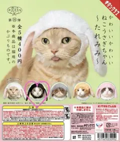 キタンクラブ　かわいいかわいいねこうさぎちゃん　 たれみみ〜　ねこかぶりもの