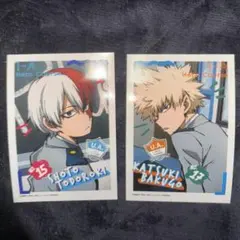 ヒロアカ 轟焦凍 爆豪勝己 ネップリ