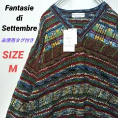 未使用　Fantasie di Settembre　ニットセーター　マルチカラー
