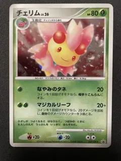 2025年最新】チェリムの人気アイテム - メルカリ