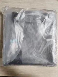 Disney ツイステッドワンダーランド クリアトートバッグ　ジェイド・リーチ