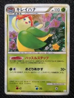 2026年最新】キレイハナの人気アイテム - メルカリ