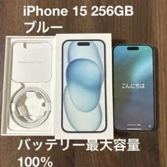 Item thumbnail for item 6516ebba-4d65-44fb-a6d2-b0a2e6cd6e5d