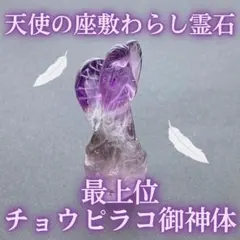 最上位】チョウピラコ御神体霊石紫水晶天使 座敷わらし 高額当選 特級