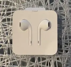 Apple EarPods with Lightning Connector
