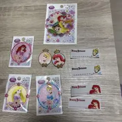 ディズニープリンセス♡ワッペン♡新品