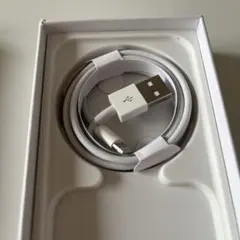 Apple iPhone 13 のケーブル入り