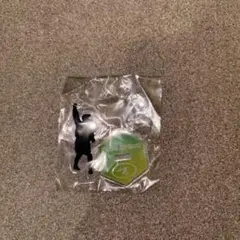 ハク様専用ページ