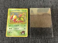 旧裏1998 ポケモンカード エリカのマダツボミ No.069 ジム拡張