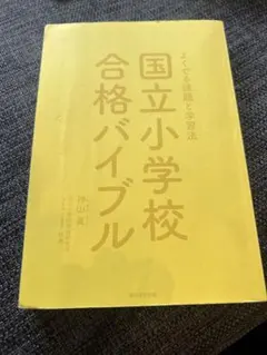 Item thumbnail for item 125bc267-c447-450b-9116-cb28363681cc