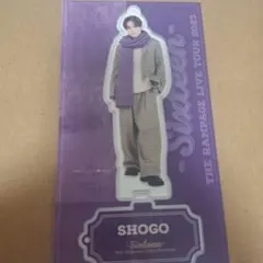 THE RAMPAGE 岩谷翔吾 ライブツアー16 アクリルスタンド