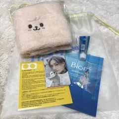 StrayKids ペンミ 入場者特典　4/4 全セット　トレカ