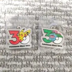ポケモン 30周年記念 メタルチャームマスコット　ピカチュウ&フシギバナ